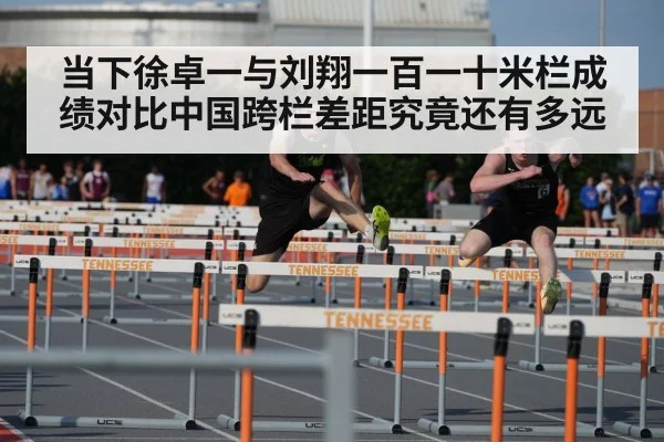 当下徐卓一与刘翔一百一十米栏成绩对比中国跨栏差距究竟还有多远